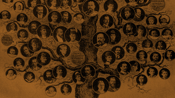 Las Mejores Herramientas para Arboles Genealógicos Familiares